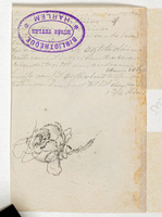 KT 2009 028-439
<br/>
Kop van een vleermuis, voor- en zijaanzicht
<br/>
<em>Trigt, Stephanus Hendrik Willem van (1790-1840)</em>